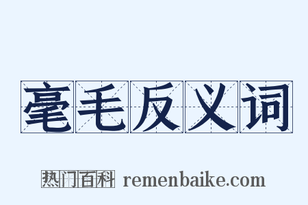 毫毛反义词是什么意思的图片